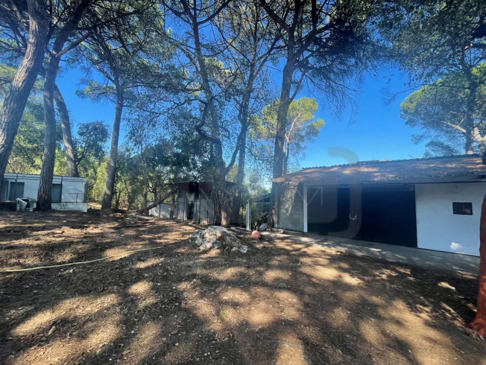 Moradia T4 para Venda em Madalena e Beselga Foto 18