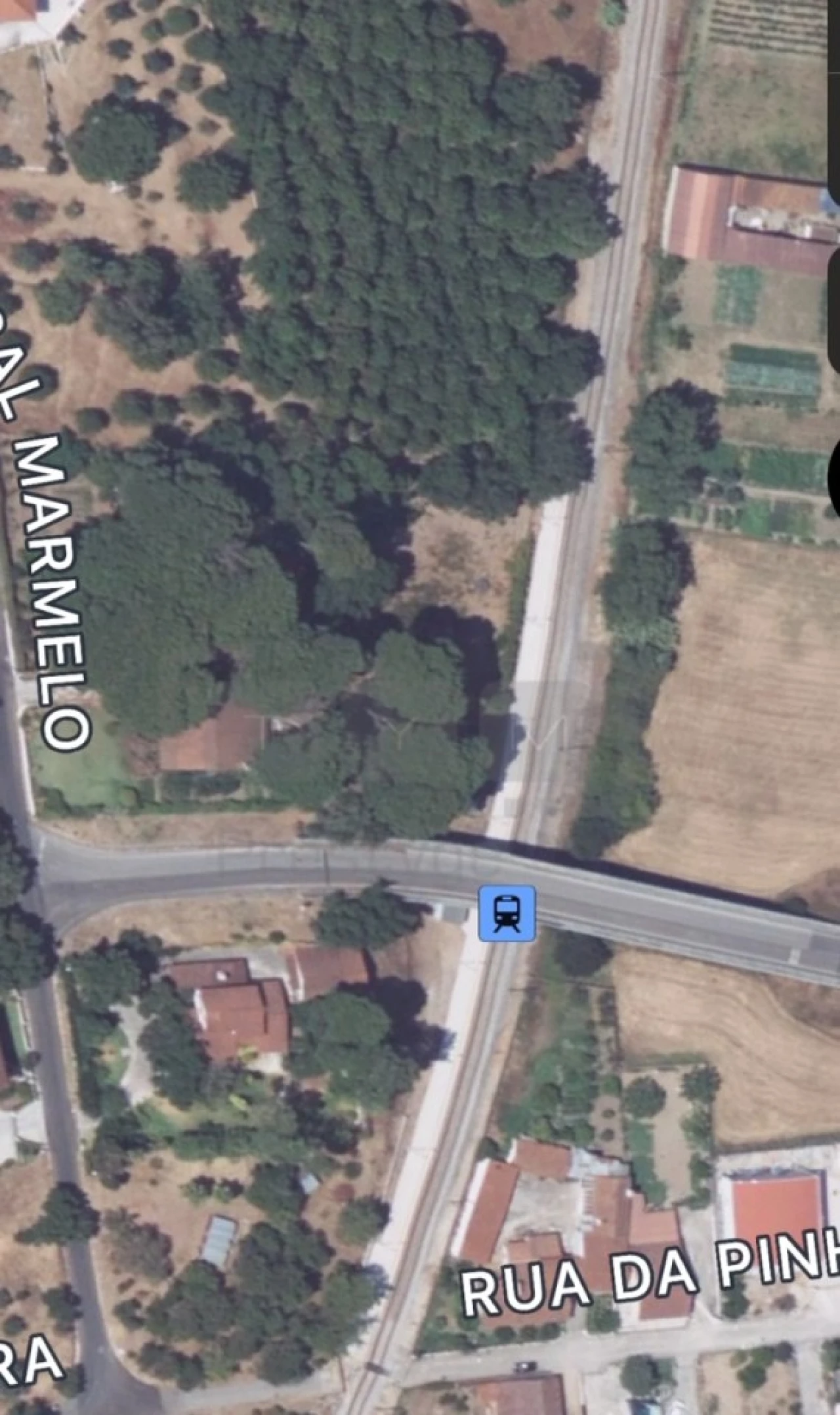 Moradia T4 para Venda em Madalena e Beselga Foto 31