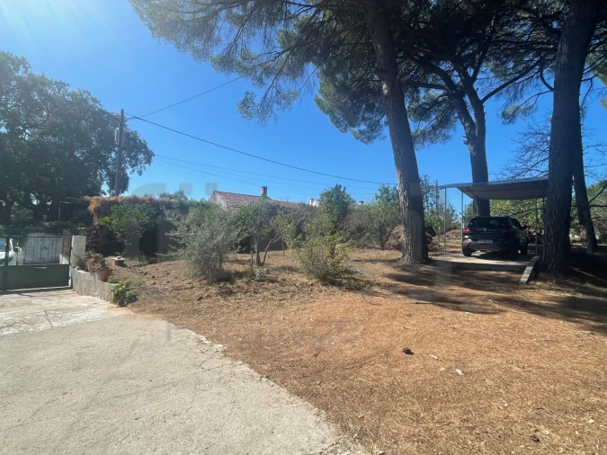 Moradia T4 para Venda em Madalena e Beselga Foto 17