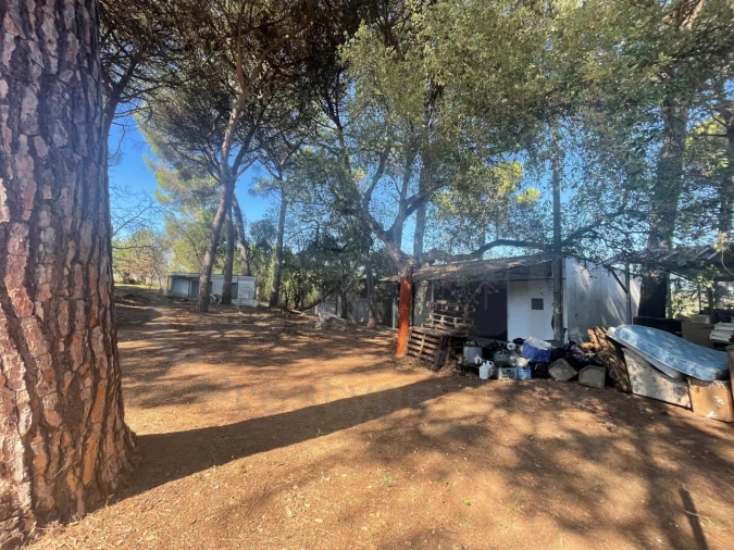 Moradia T4 para Venda em Madalena e Beselga Foto 19