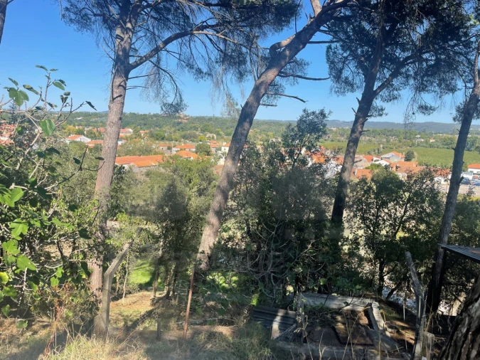 Moradia T4 para Venda em Madalena e Beselga Foto 25