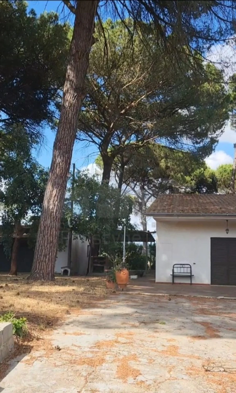 Moradia T4 para Venda em Madalena e Beselga Foto 27