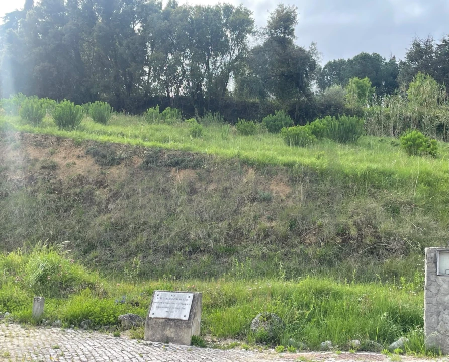 Terreno para Venda em São João Baptista e Santa Maria dos Olivais Foto 3