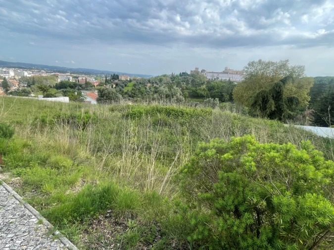 Terreno para Venda em São João Baptista e Santa Maria dos Olivais Foto 2