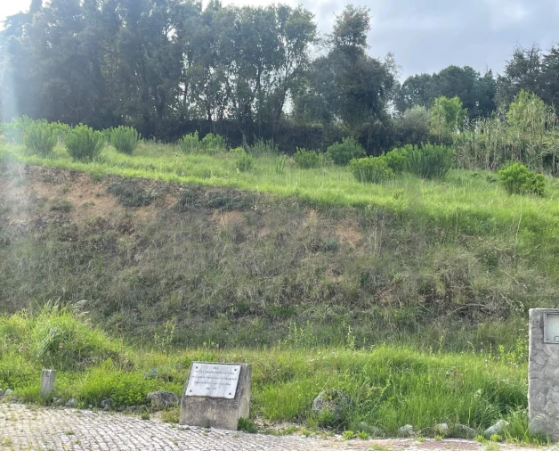 Terreno para Venda em São João Baptista e Santa Maria dos Olivais Foto 3
