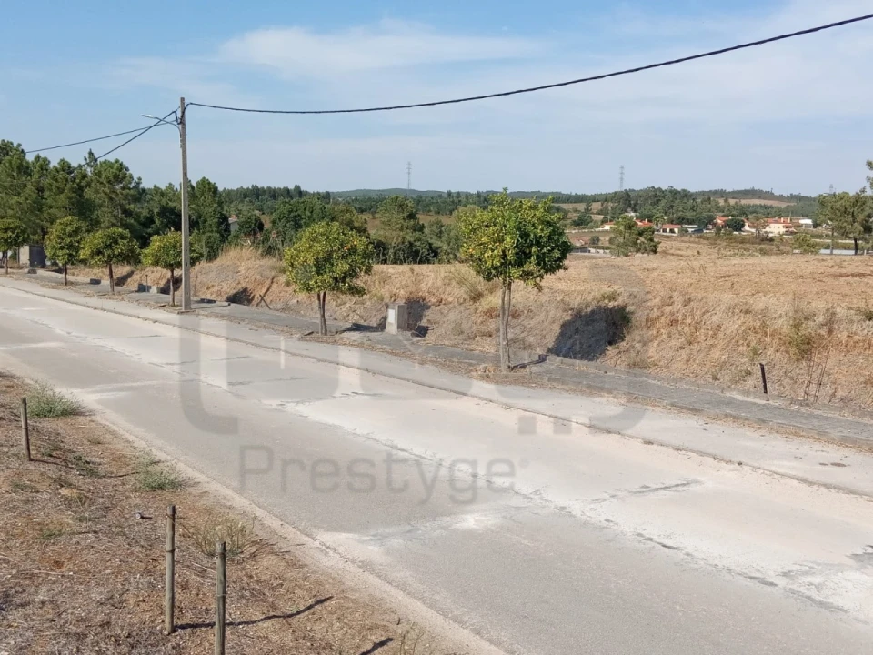 Terreno para Venda em São João Baptista e Santa Maria dos Olivais Foto 6