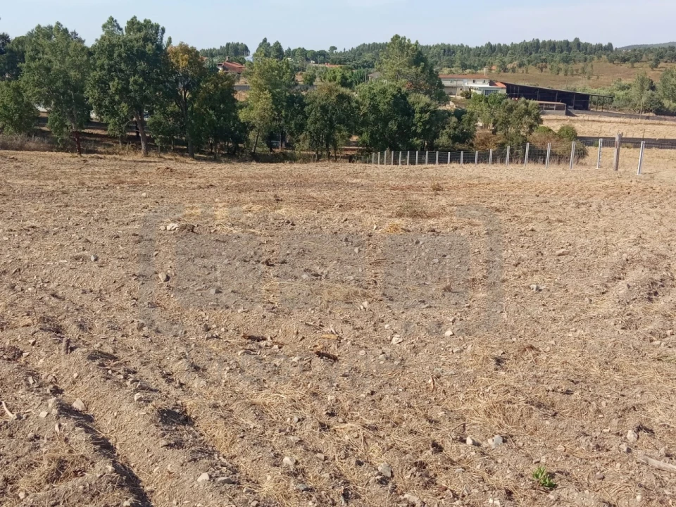 Terreno para Venda em São João Baptista e Santa Maria dos Olivais Foto 1