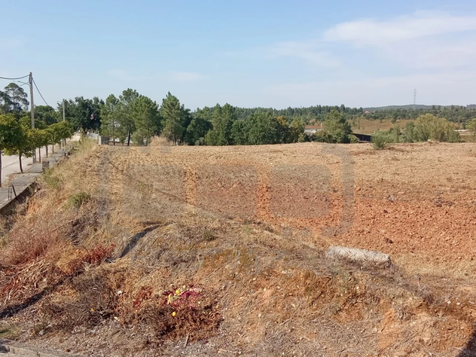 Terreno para Venda em São João Baptista e Santa Maria dos Olivais Foto 10