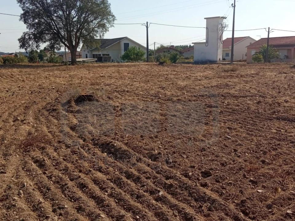 Terreno para Venda em São João Baptista e Santa Maria dos Olivais Foto 12
