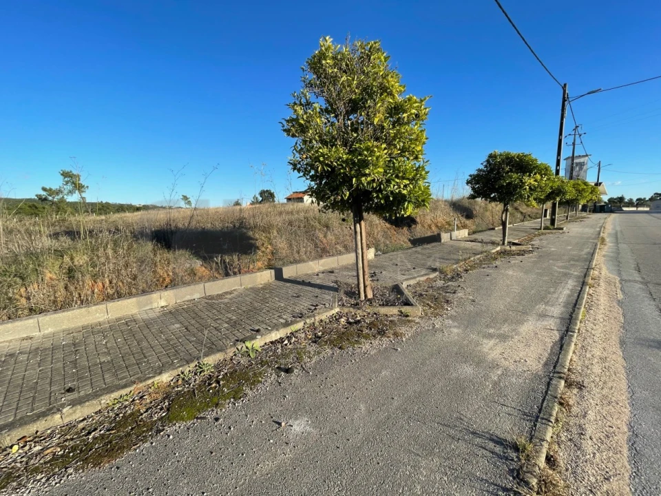 Terreno para Venda em São João Baptista e Santa Maria dos Olivais Foto 2