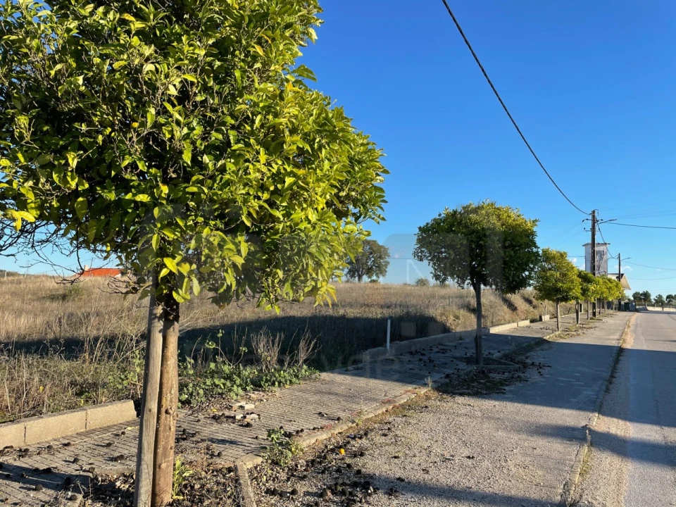 Terreno para Venda em São João Baptista e Santa Maria dos Olivais Foto 4