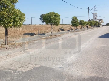 Terreno para Venda em São João Baptista e Santa Maria dos Olivais