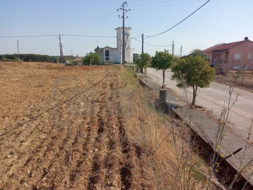 Terreno para Venda em São João Baptista e Santa Maria dos Olivais