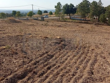 Terreno para Venda em São João Baptista e Santa Maria dos Olivais