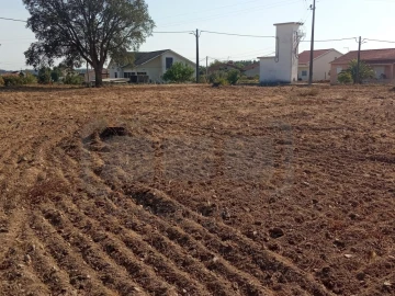Terreno para Venda em São João Baptista e Santa Maria dos Olivais