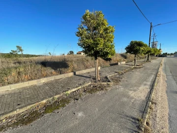 Terreno para Venda em São João Baptista e Santa Maria dos Olivais