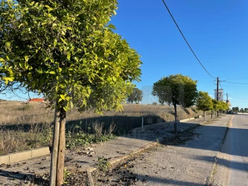 Terreno para Venda em São João Baptista e Santa Maria dos Olivais