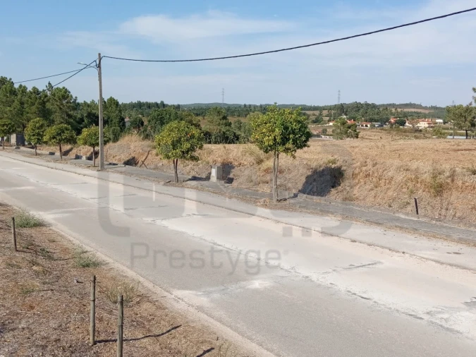 Terreno para Venda em São João Baptista e Santa Maria dos Olivais Foto 6