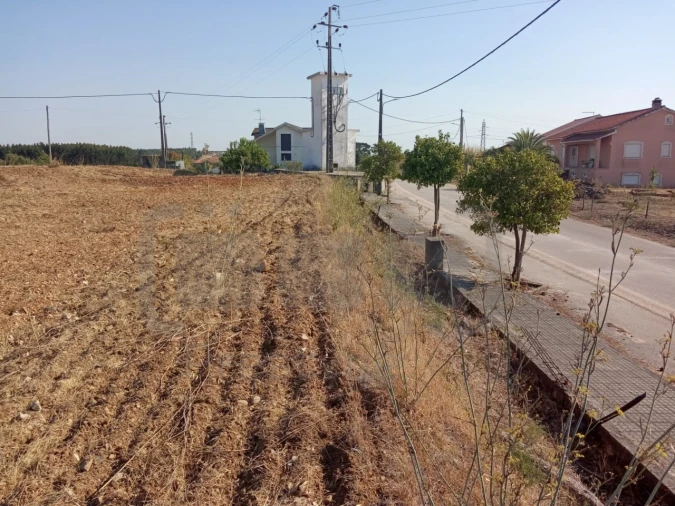 Terreno para Venda em São João Baptista e Santa Maria dos Olivais Foto 9