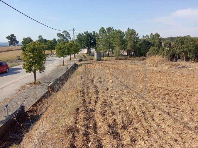 Terreno para Venda em São João Baptista e Santa Maria dos Olivais Foto 3