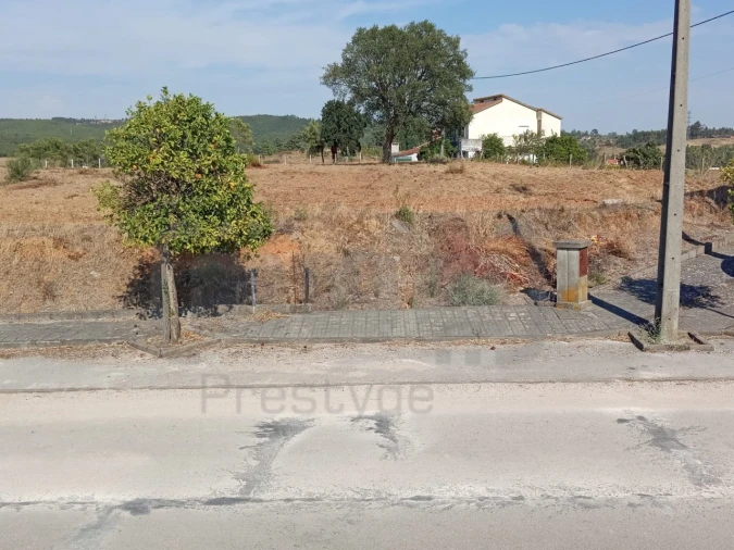 Terreno para Venda em São João Baptista e Santa Maria dos Olivais Foto 8