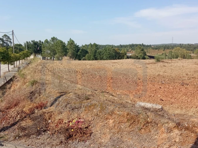 Terreno para Venda em São João Baptista e Santa Maria dos Olivais Foto 10