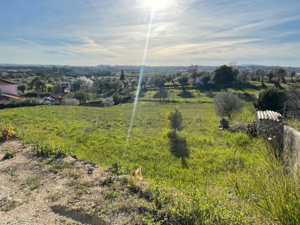 Terreno para Venda em São João Baptista e Santa Maria dos Olivais Foto 1