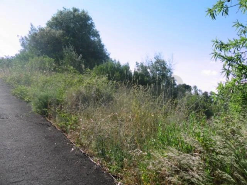 Terreno para Venda em Carregueiros Foto 4