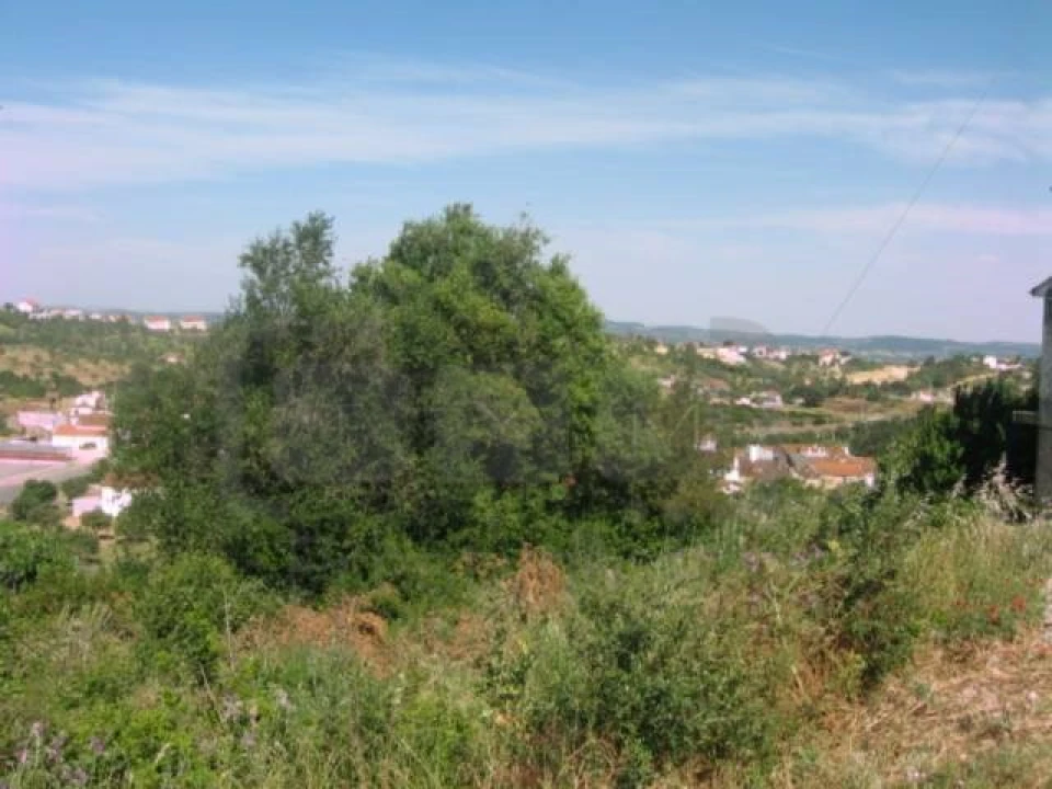 Terreno para Venda em Carregueiros Foto 5
