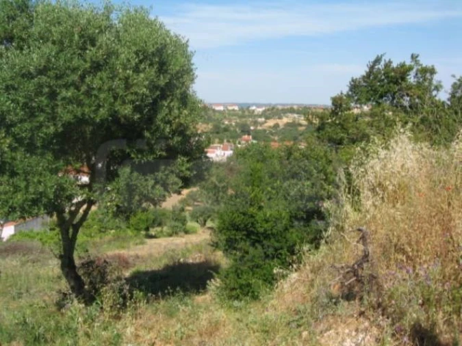 Terreno para Venda em Carregueiros Foto 6