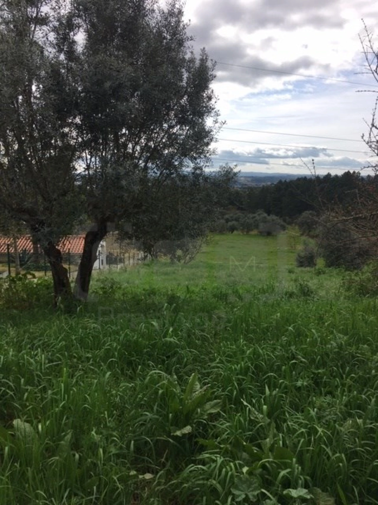 Terreno para Venda em Serra e Junceira Foto 7