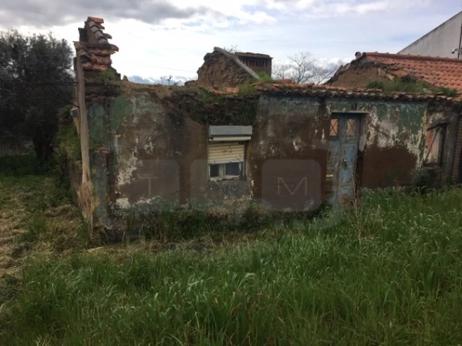 Terreno para Venda em Serra e Junceira Foto 4