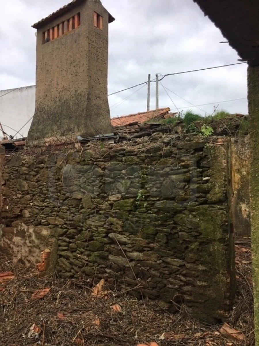 Terreno para Venda em Serra e Junceira Foto 6