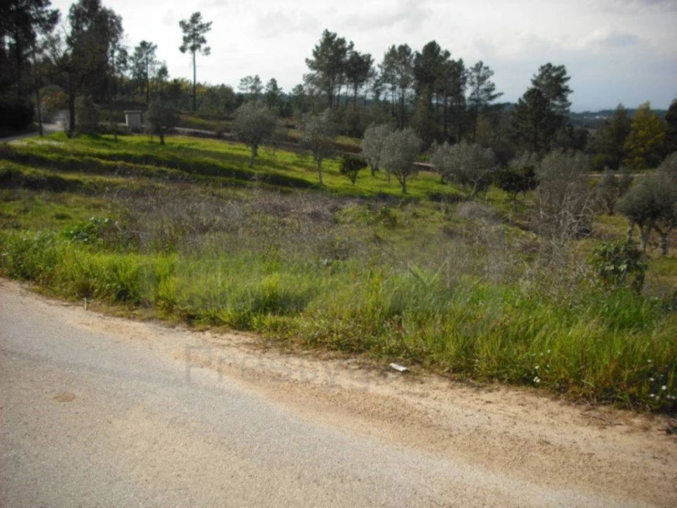 Terreno para Venda em Asseiceira Foto 3
