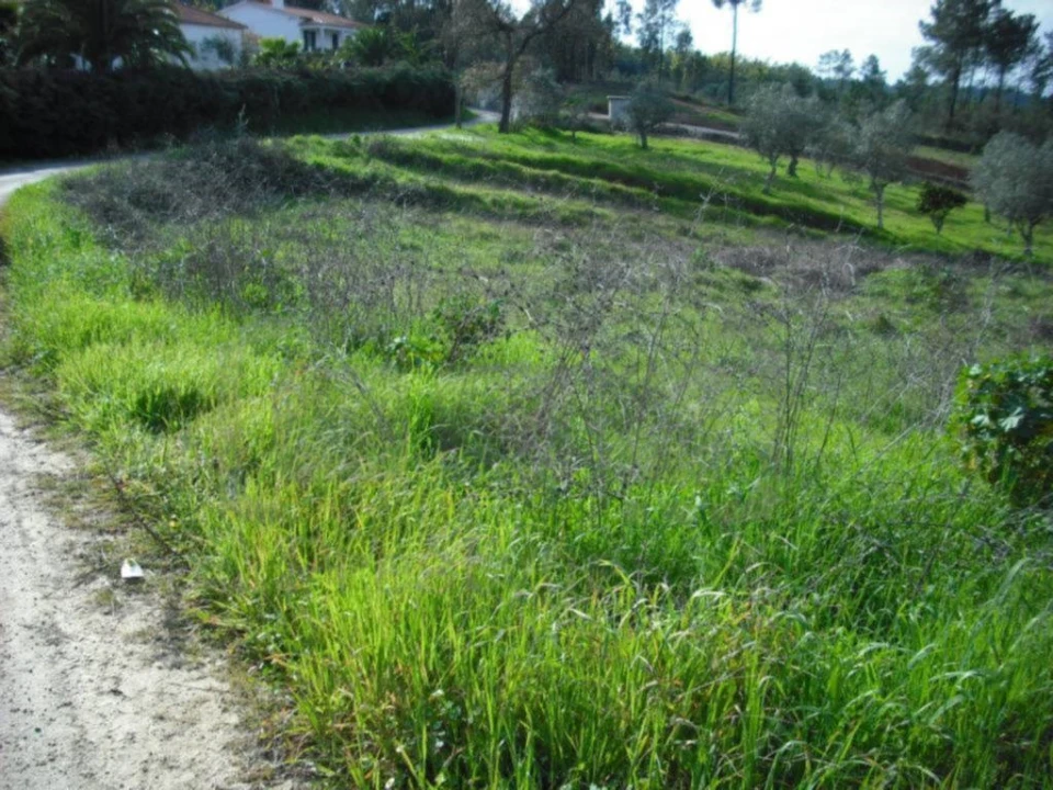 Terreno para Venda em Asseiceira Foto 4