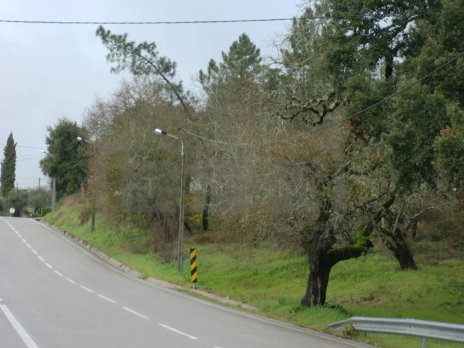 Terreno para Venda em Olalhas