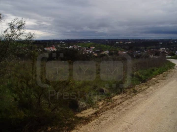 Terreno para Venda em Madalena e Beselga