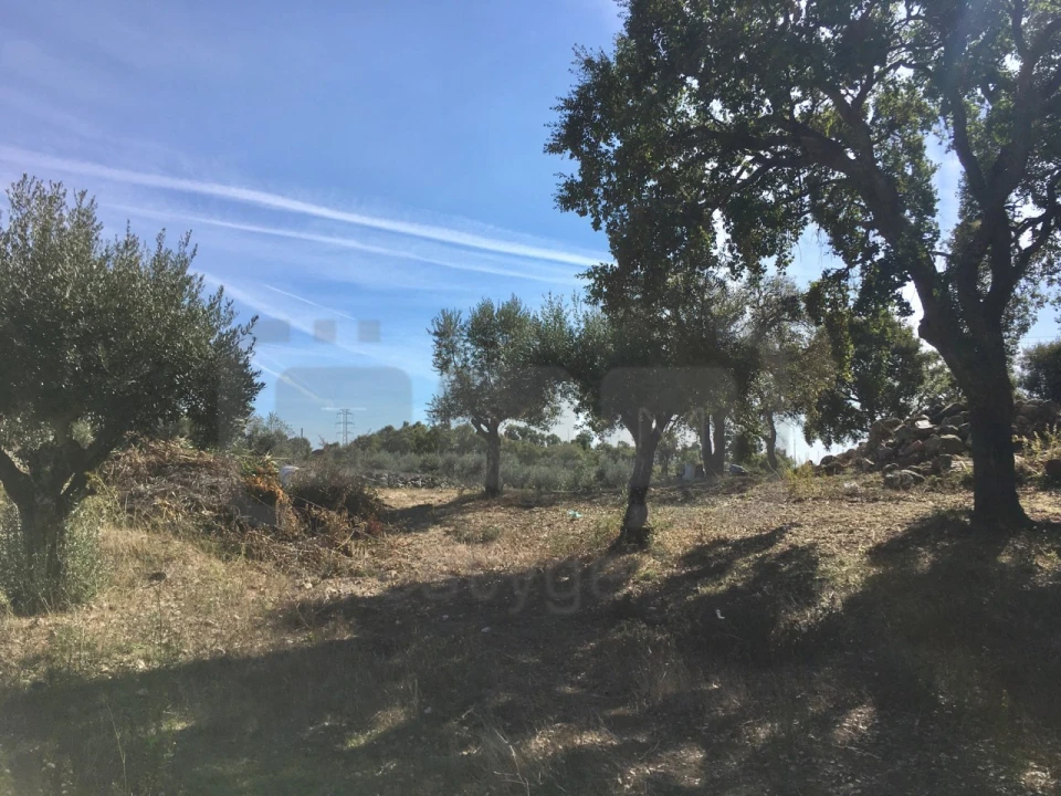 Terreno para Venda em São Pedro de Tomar Foto 1