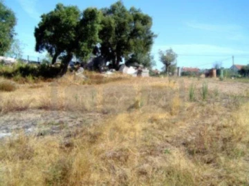 Terreno para Venda em São Pedro de Tomar