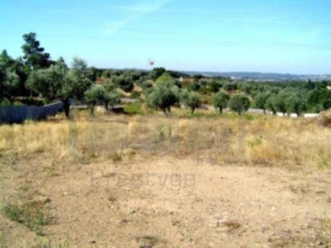 Terreno para Venda em São Pedro de Tomar Foto 4