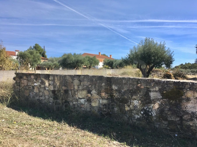 Terreno para Venda em São Pedro de Tomar Foto 10