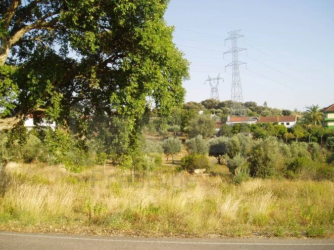Terreno para Venda em Casais e Alviobeira Foto 4