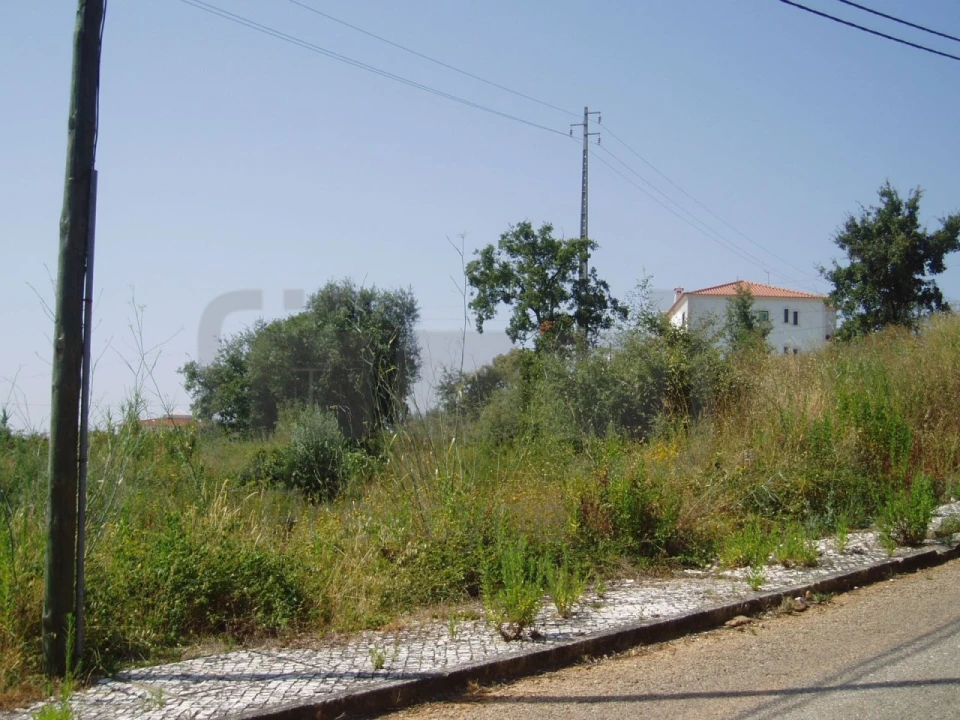 Terreno para Venda em São João Baptista e Santa Maria dos Olivais Foto 1