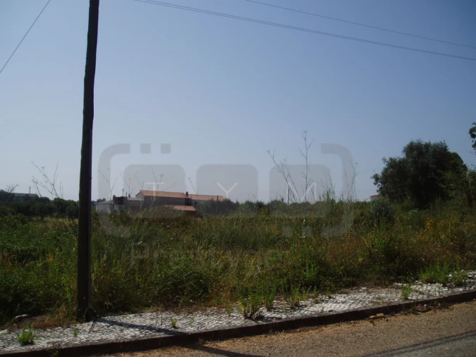 Terreno para Venda em São João Baptista e Santa Maria dos Olivais Foto 2