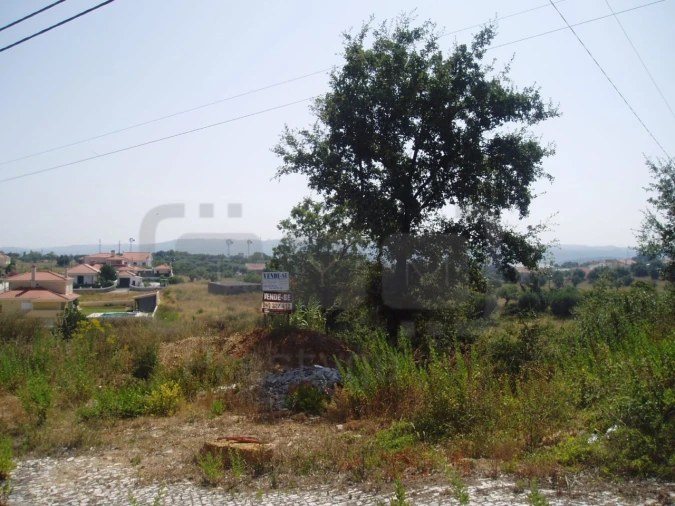Terreno para Venda em São João Baptista e Santa Maria dos Olivais Foto 3
