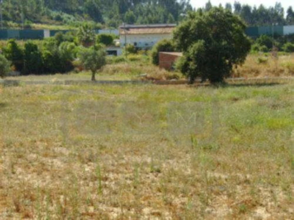 Terreno para Venda em Asseiceira Foto 3