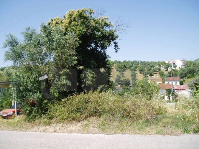 Terreno para Venda em Madalena e Beselga