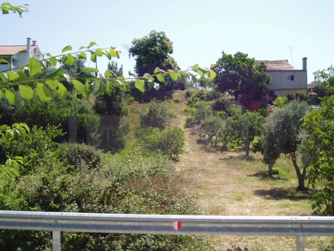 Terreno para Venda em Madalena e Beselga Foto 5
