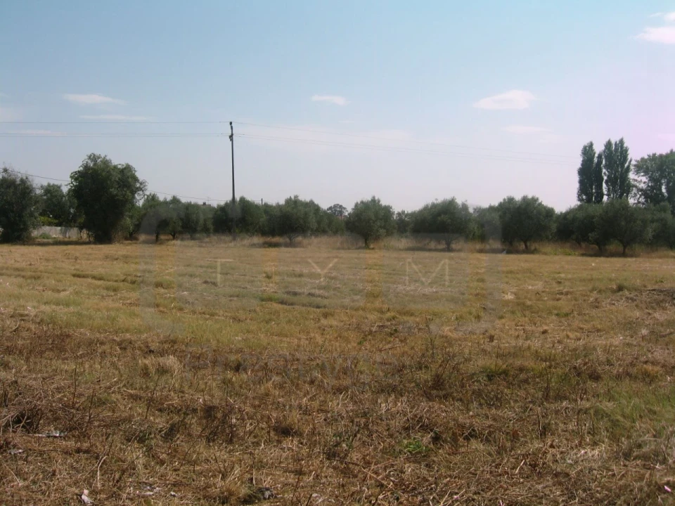 Terreno para Venda em Paialvo Foto 2