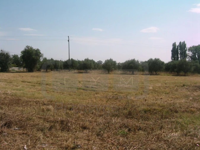 Terreno para Venda em Paialvo Foto 2